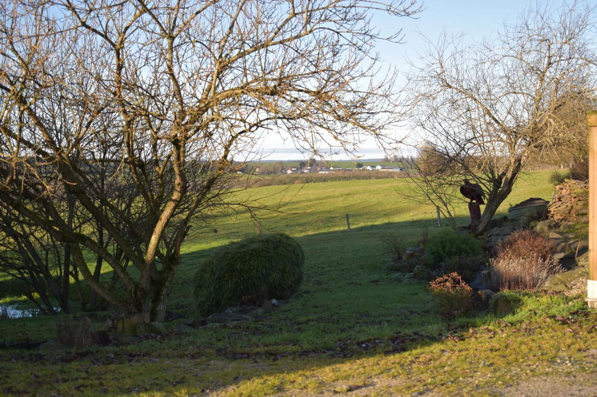 Gite Du Cheval Blanc Sainte-Ode Екстериор снимка